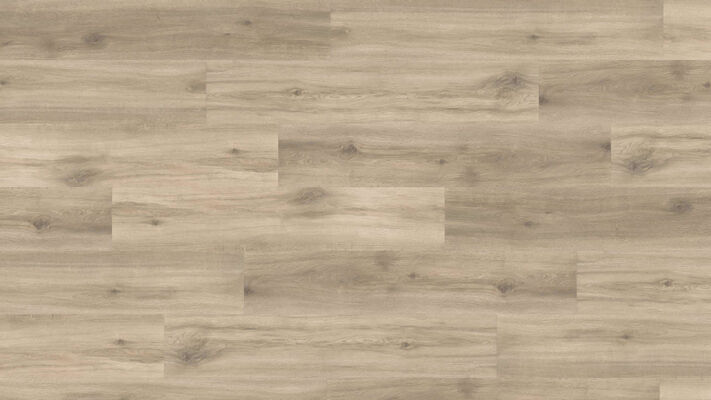 HARO DISANO Project Design-Vinylboden Eiche Provence creme authentisch Landhausdiele 1300x2x245 mm 544938 | 89488