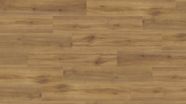  HARO DISANO Project Design-Vinylboden Eiche Provence natur authentisch Landhausdiele 1300x2x245 mm 544939 | 89503