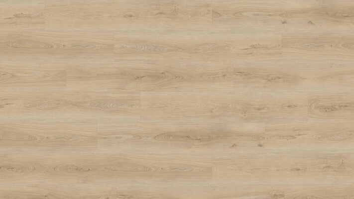  HARO DISANO Project Design-Vinylboden Eiche Sheffield puro authentisch Landhausdiele 1300x2x245 mm 547941 | 89629