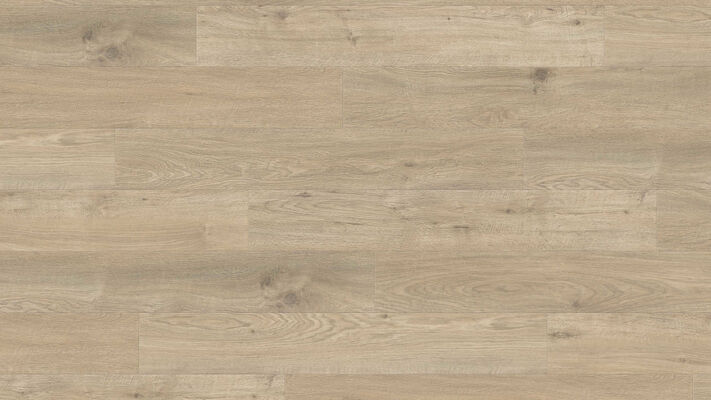  HARO DISANO WaveAqua Designboden Eiche Whistler kieselgrau authentisch Landhausdiele 1282x8x193 mm 548201 | 89656
