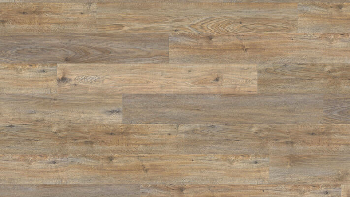  HARO DISANO WaveAqua Designboden Eiche Quebec altbraun authentisch Landhausdiele 1282x8x193 mm 548209 | 89719