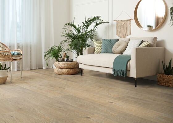  HARO DISANO WaveAqua Designboden XL Eiche Quebec alabaster authentisch Landhausdiele XL 2200x8x243 mm 548217 | 89761