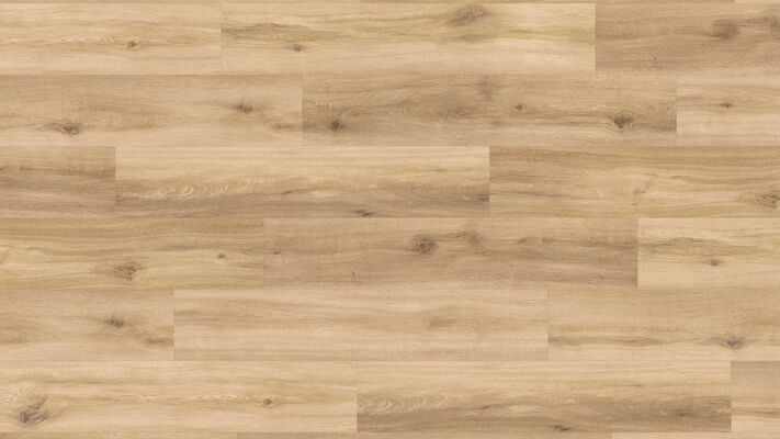  HARO DISANO Project Design-Vinylboden Eiche Provence puro authentisch Landhausdiele 1300x2x245 mm 549035 | 90052