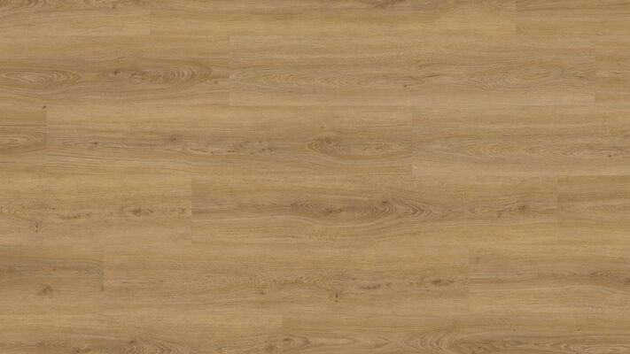  HARO DISANO Project Design-Vinylboden Eiche Sheffield honig authentisch Landhausdiele 1300x2x245 mm 549039 | 90073