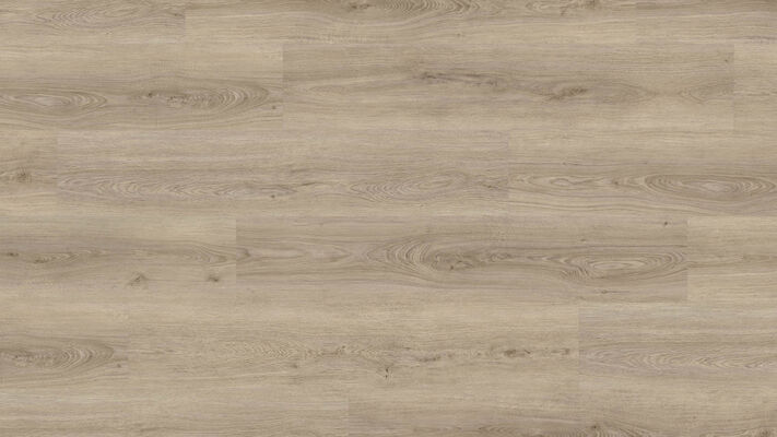  HARO DISANO Project Design-Vinylboden Eiche Sheffield graubraun authentisch Landhausdiele 1300x2x245 mm 549041 | 90082