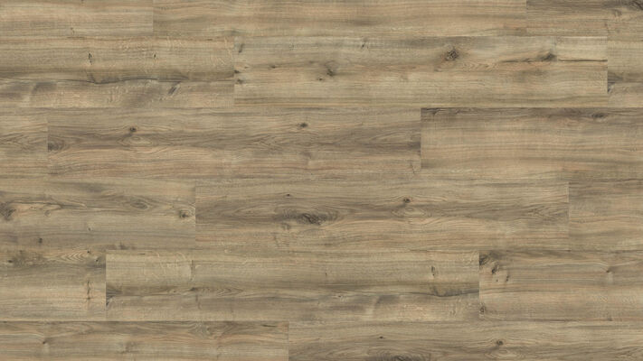  HARO DISANO Project Design-Vinylboden Gebirgseiche greige strukturiert Landhausdiele 1300x2x245 mm 549043 | 90091
