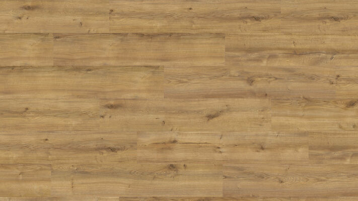  HARO DISANO Project Design-Vinylboden Gebirgseiche honig strukturiert Landhausdiele 1300x2x245 mm 549045 | 90100