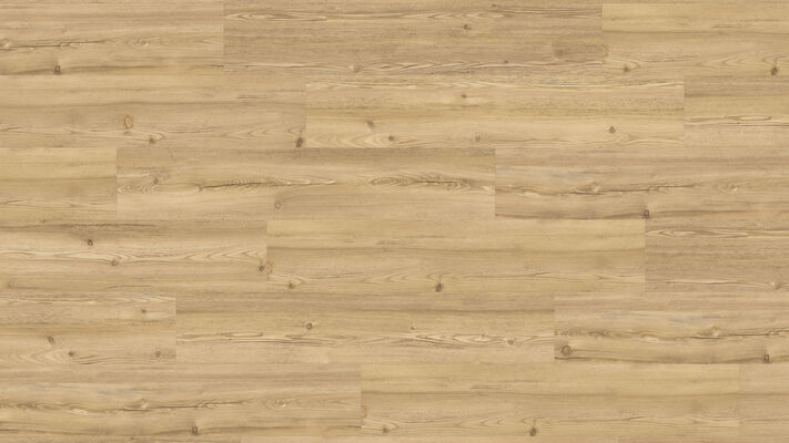  HARO DISANO Project Design-Vinylboden Berglärche puro strukturiert Landhausdiele 1300x2x245 mm 549049 | 90118