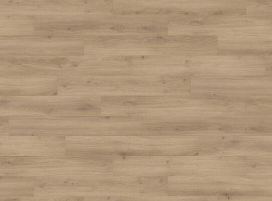  HARO TRITTY 100 Laminat Eiche Emilia puro authentic soft Landhausdiele 1282x193x8mm 538691 | 90559
