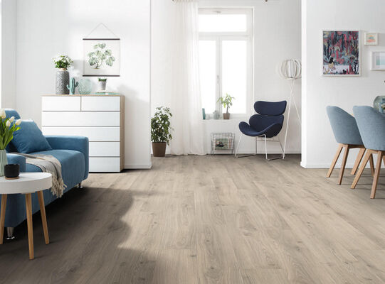  HARO TRITTY 100 Laminat Eiche Emilia samtgrau authentic soft Landhausdiele 1282x193x8mm 538695 | 90574