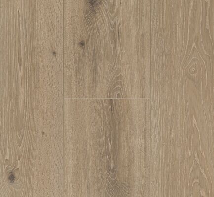  Parador Trendtime 6 Laminat Eiche Castell Gekälkt Gebürstete Struktur Schlossdiele 2200x9x243 mm 1371173 | 93214