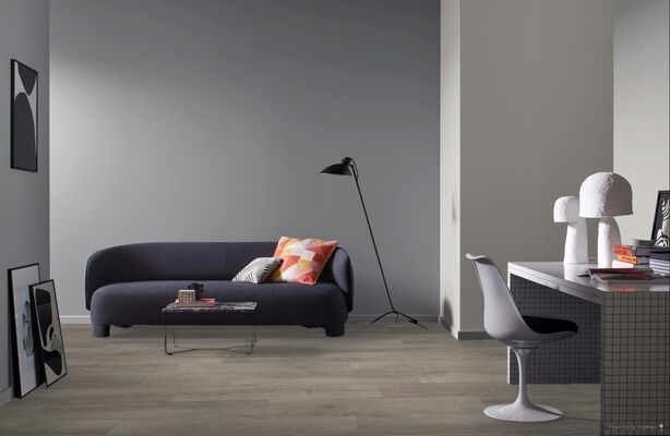  Parador Basic 400 V Laminat Eiche lichtgrau Seidenmatte Struktur Landhausdiele 1285x194x8 mm 1426530 | 93235