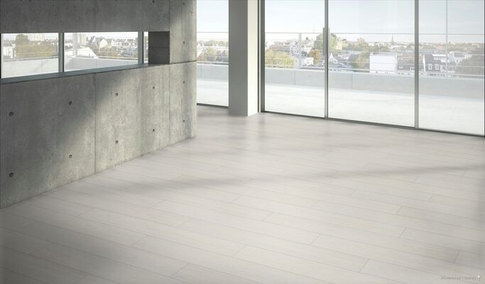  Parador Modular ONE Hydron Designboden Lärche Apollo Weiss Naturstruktur Designboden Landhausdiele 1290x196x5,5 mm 1748742 | 94231