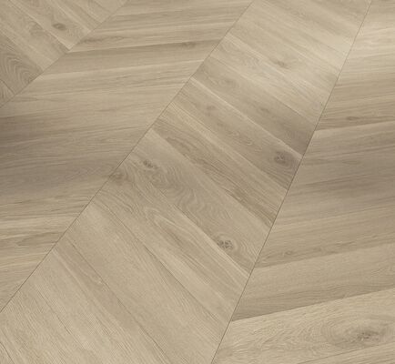  Parador Trendtime 8 Laminat Eiche Loire Beige Ölstruktur Chevron-Optik 1285x8x330 mm 1751650 | 94870