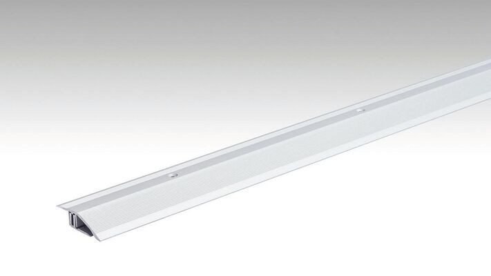  Meister Typ 200 Anpassungsprofil Silber eloxiert 1000x0x0 mm 800007-1000-00220 | 97784