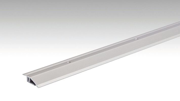 Meister Typ 200 Anpassungsprofil Edelstahl-Oberfläche 1000x0x0 mm 800007-1000-00340 | 97790