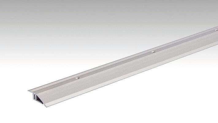  Meister Typ 200 Anpassungsprofil Edelstahl-Oberfläche 2700x0x0 mm 800007-2700-00340 | 97802