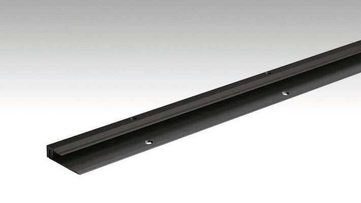  Meister Typ 201 Abschlussprofil Schwarz eloxiert 1000x0x0 mm 800008-1000-02510 | 97817