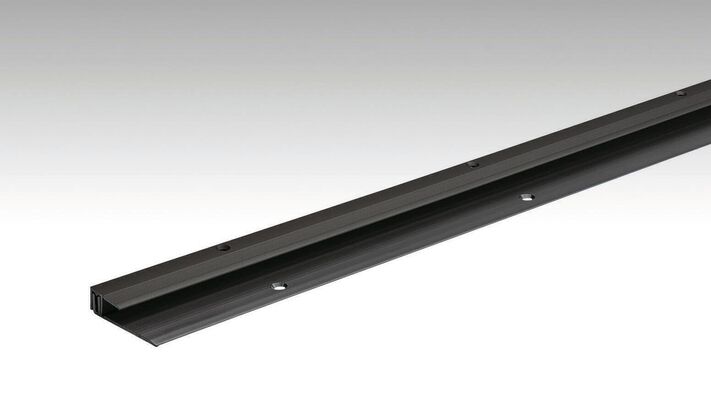  Meister Typ 201 Abschlussprofil Schwarz eloxiert 2700x0x0 mm 800008-2700-02510 | 97829