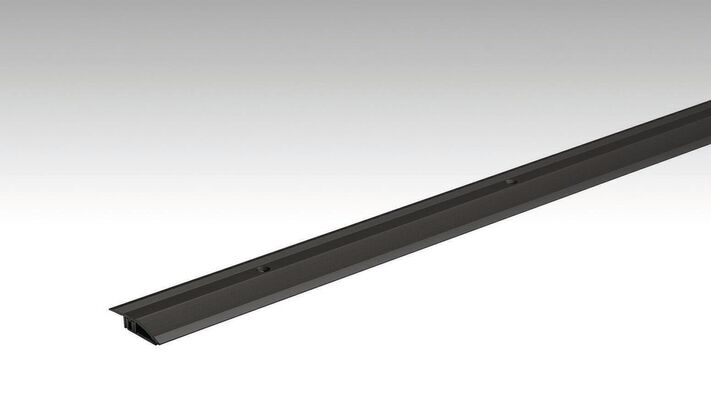  Meister Typ 100 Anpassungsprofil Schwarz eloxiert 270 800016-2700-02510 | 97943