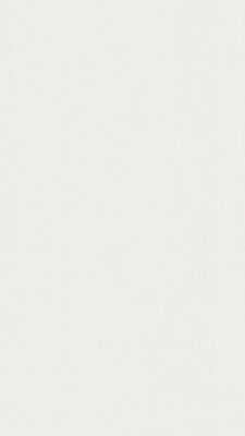  Meister bocado DP 250 Dekorpaneel Classic-Weiß Holznachbildung 1280x12x250 mm 300007-1280250-00387 | 98105