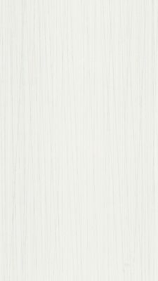  Meister bocado DP 250 Dekorpaneel Streifer silber Dekor 4100x12x250 mm 300007-4100250-04021 | 98111
