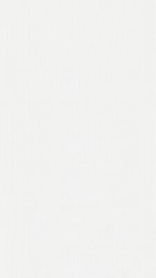  Meister bocado DP 250 Dekorpaneel Whiteline Dekor 2600x12x250 mm 300007-2600250-04074 | 98129
