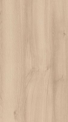  Meister bocado DP 250 Dekorpaneel Buche pure Holznachbildung 2600x12x250 mm 300007-2600250-04094 | 98141
