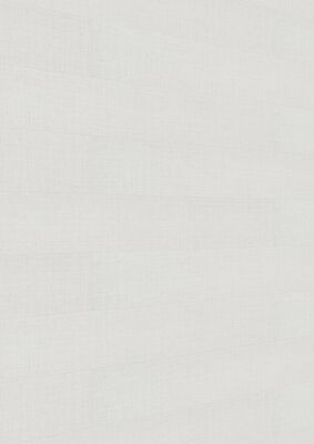  Meister bocado DP 250 Dekorpaneel Warm cotton Dekor 2050x12x250 mm 300007-2050250-20104 | 98162