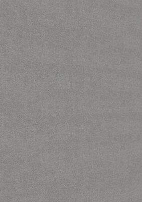  Meister bocado DP 250 Dekorpaneel Vlies grau Dekor 2600x12x250 mm 300007-2600250-20105 | 98174