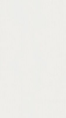 Meister bocado DP 200 Dekorpaneel Classic-Weiß Holznachbildung 3300x12x200 mm 300008-3300200-00387 | 98231