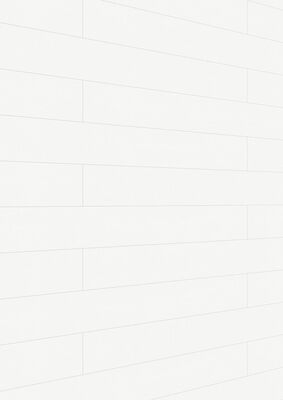  Meister bocado DP 200 Dekorpaneel Softwood weiß Holznachbildung 2050x12x200 mm 300008-2050200-20103 | 98261