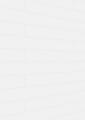  Meister bocado DP 200 Dekorpaneel White wall Dekor 4100x12x200 mm 300008-4100200-20126 | 98267