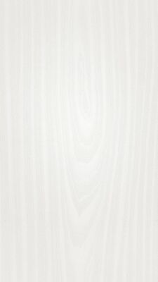  Meister tertio DP 200 Dekorpaneel Esche-Perlweiß Holznachbildung 1280x9,5x200 mm 300010-1280200-00382 | 98276