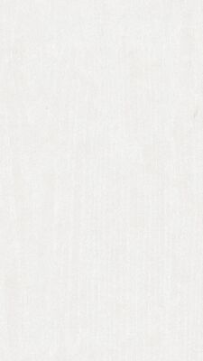  Meister tertio DP 200 Dekorpaneel Esche-Alpinweiß Holznachbildung 2600x9,5x200 mm 300010-2600200-00384 | 98285