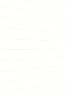  Meister tertio DP 200 Dekorpaneel Swedish white Holznachbildung 2600x9,5x200 mm 300010-2600200-20128 | 98312