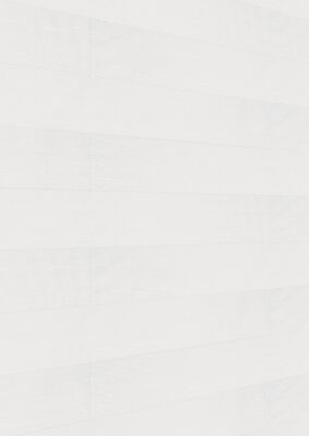  Meister terra DP 250 Dekorpaneel White ash Holznachbildung 2600x12x250 mm 300033-2600250-20098 | 98519