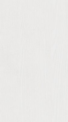  Meister terra DP 250 Dekorpaneel White ash Holznachbildung 2600x12x250 mm 300033-2600250-20098 | 98522