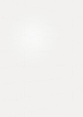  Meister terra DP 250 Dekorpaneel Vintage white Holznachbildung 1280x12x250 mm 300033-1280250-20099 | 98525