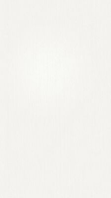  Meister terra DP 250 Dekorpaneel Vintage white Holznachbildung 1280x12x250 mm 300033-1280250-20099 | 98528