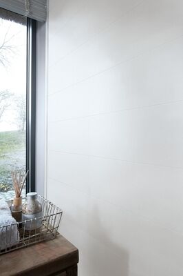  Meister terra DP 250 Dekorpaneel White mesh Dekor 4100x12x250 mm 300033-4100250-20101 | 98543