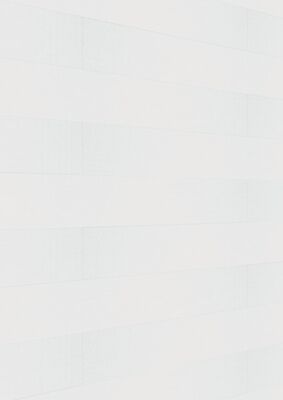  Meister terra DP 250 Dekorpaneel White mesh Dekor 1280x12x250 mm 300033-1280250-20101 | 98546