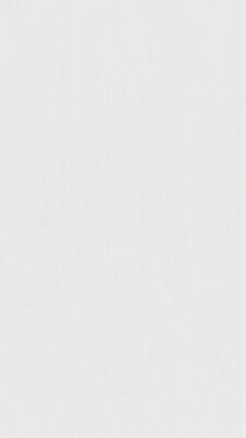  Meister terra DP 250 Dekorpaneel White mesh Dekor 4100x12x250 mm 300033-4100250-20101 | 98549