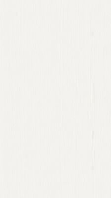  Meister terra DP 250 Dekorpaneel Snow white wood Holznachbildung 2600x12x250 mm 300033-2600250-20102 | 98561
